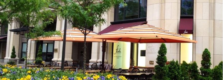 Shade Solutions: The Health and Comfort Benefits of Patio Umbrellas by The Shade Experts USA